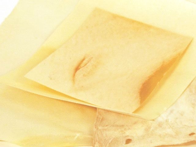 Perkamentvel 20x15 cm