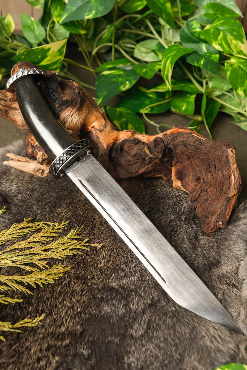 Mörk kortsax, halvvass 