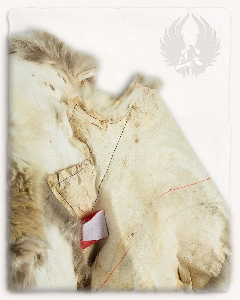 Bontkraag vos, bruin