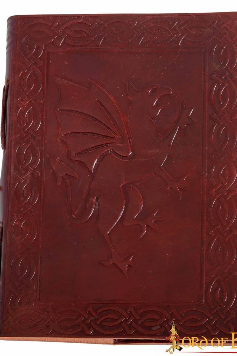 Leren boek met draak