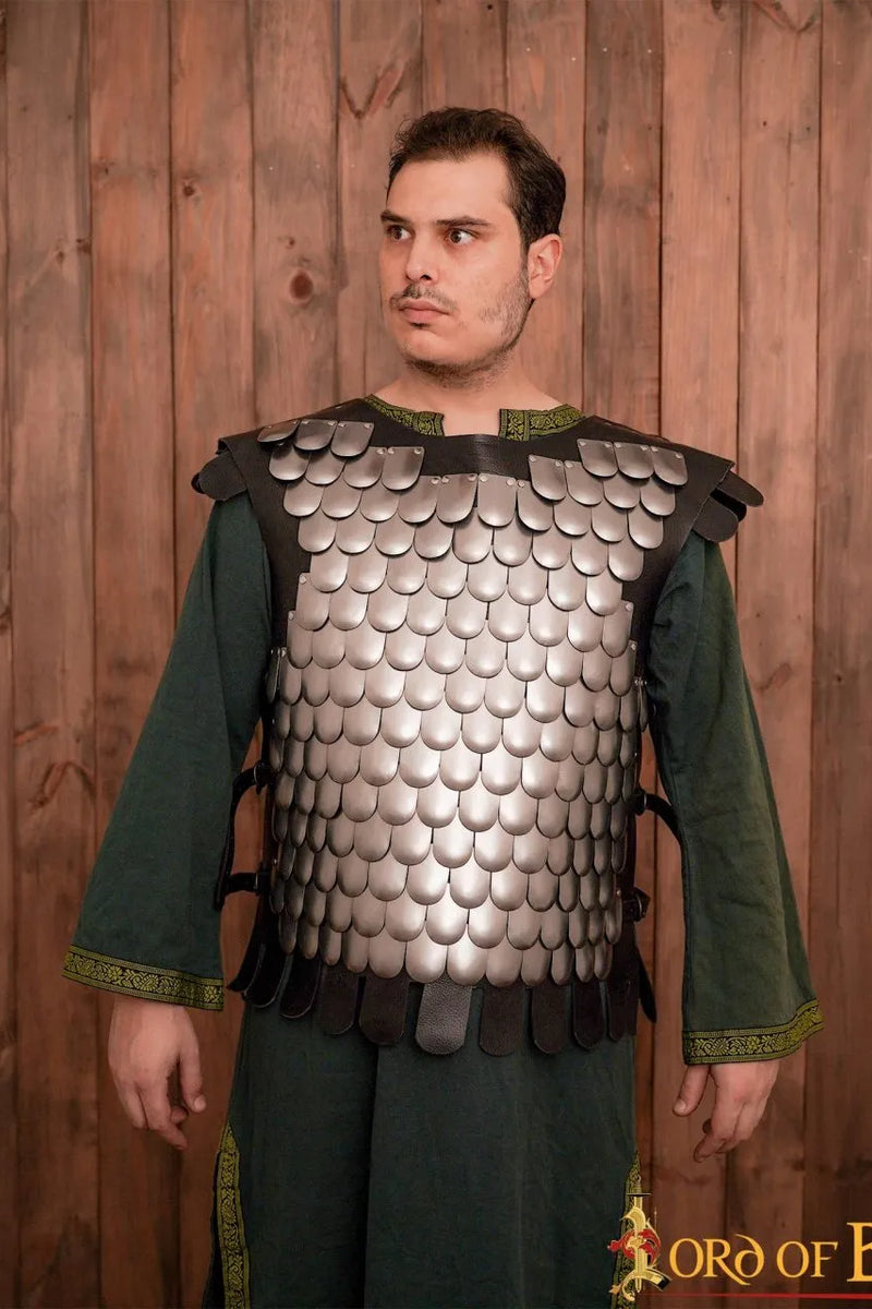 Scale Armor, Lorica Squamata, steel