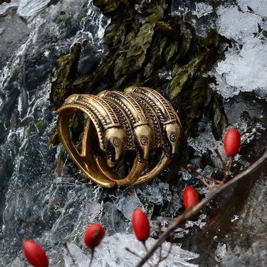 Germaanse IJzertijdring Segerstad, brons