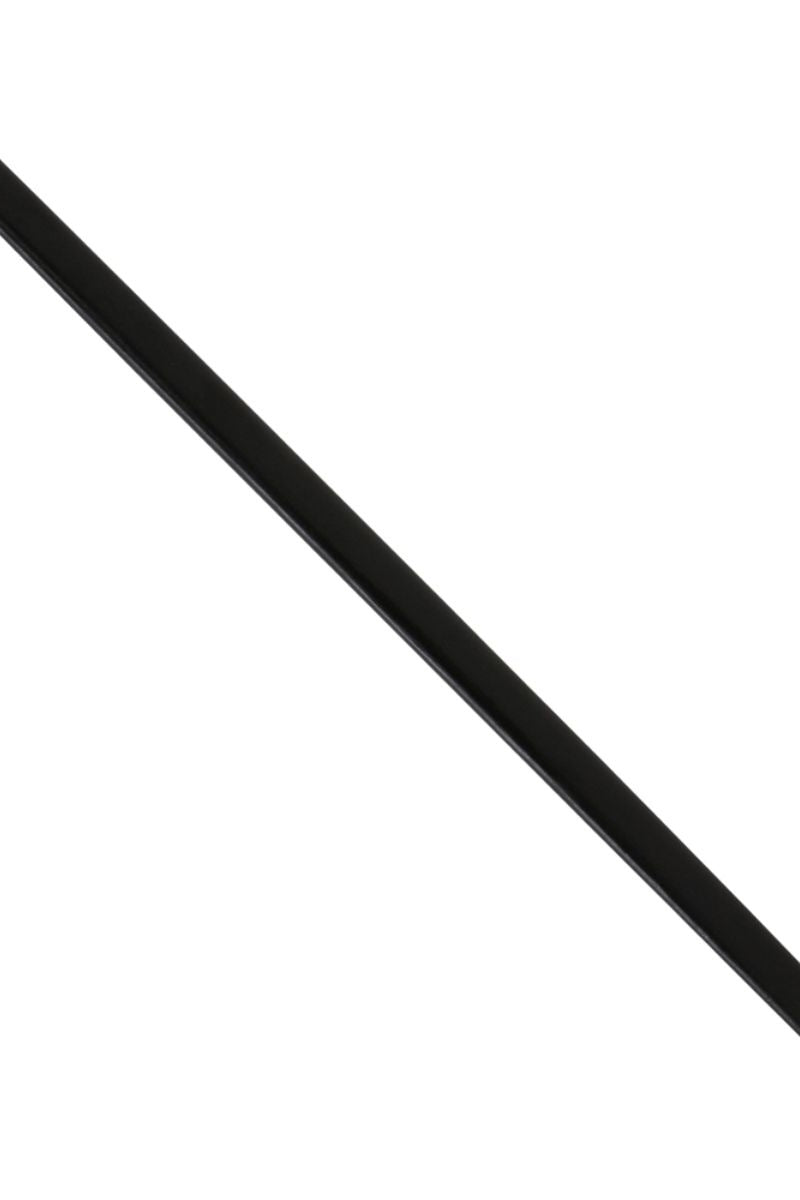 17e eeuwse rapier met schede, semi-scherp