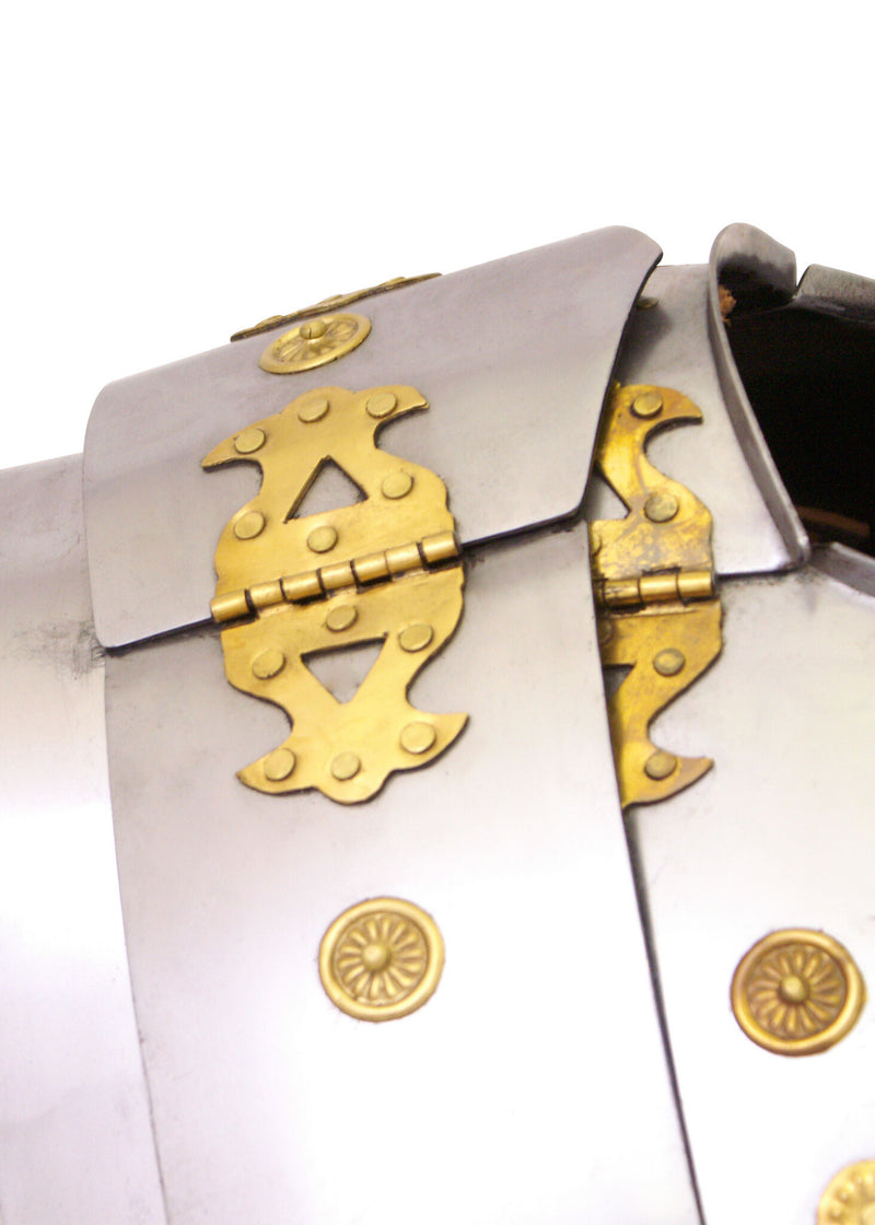 Lorica segmentata Newstead, 1.2 mm