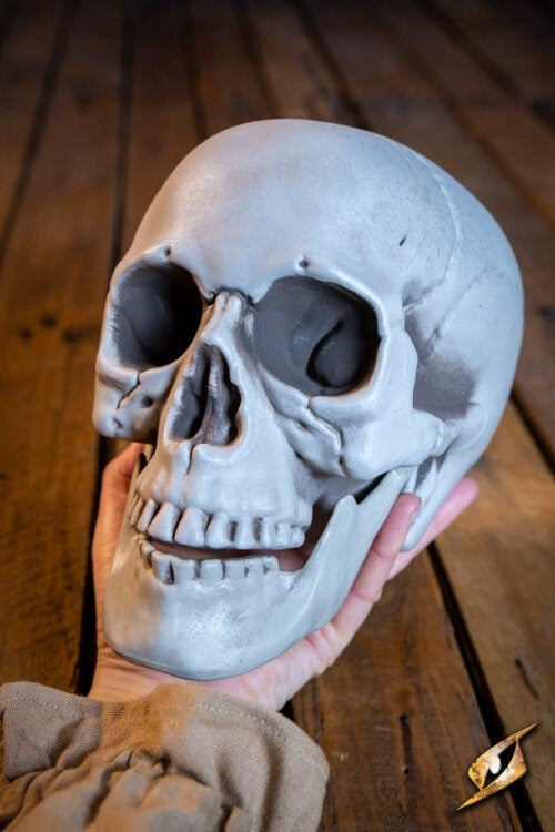 Czaszka 21 cm