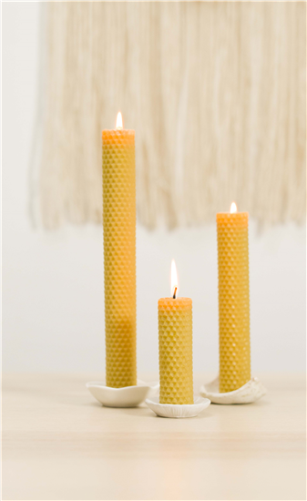 Gerolde bijenwaskaars 23 cm, honingraat