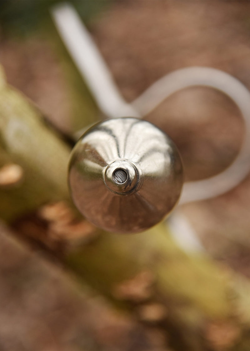 Scottish lowlander William Wallace, semi-sharp