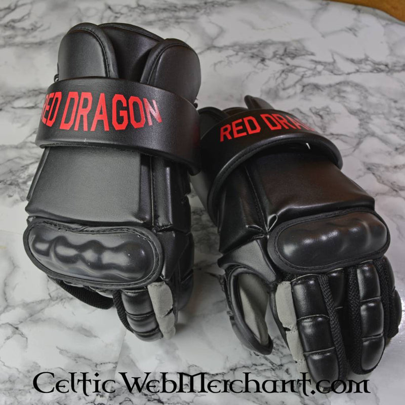 Svärdfäktningshandskar L 