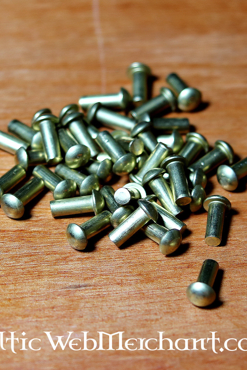 50 messingen klinknagels 4 mm kort