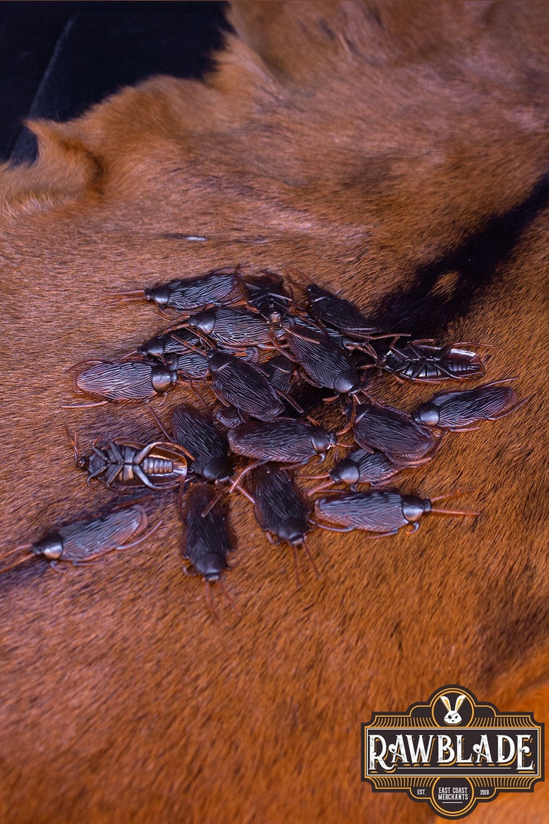 Larp kakerlakker, sæt af 20