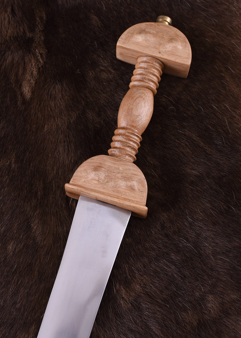 Romeinse spatha Aalen, 2e eeuw n.C., semi-scherp