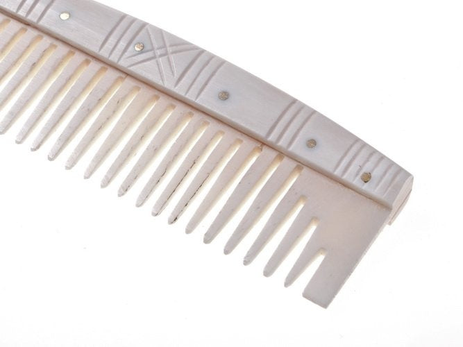 Ben Vikingkam Reykjavik