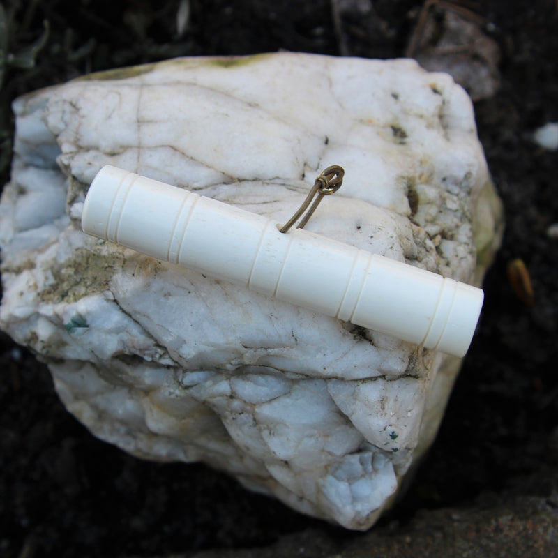 Viking benen naaldenkoker