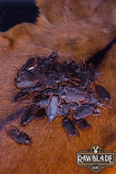 Larp kakerlakker, sæt af 20