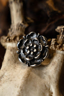 Tudor rosa adorno del cinturón (juego de 5 piezas), bronce 