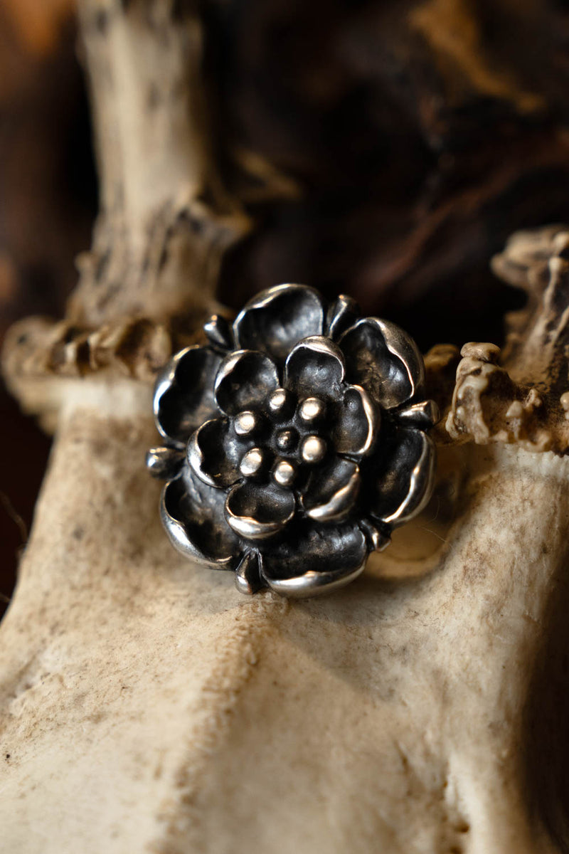 Tudor rosa adorno del cinturón (juego de 5 piezas), bronce 