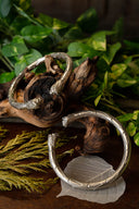 Romeinse armilae met leeuwenkoppen, paar, verzilverd messing