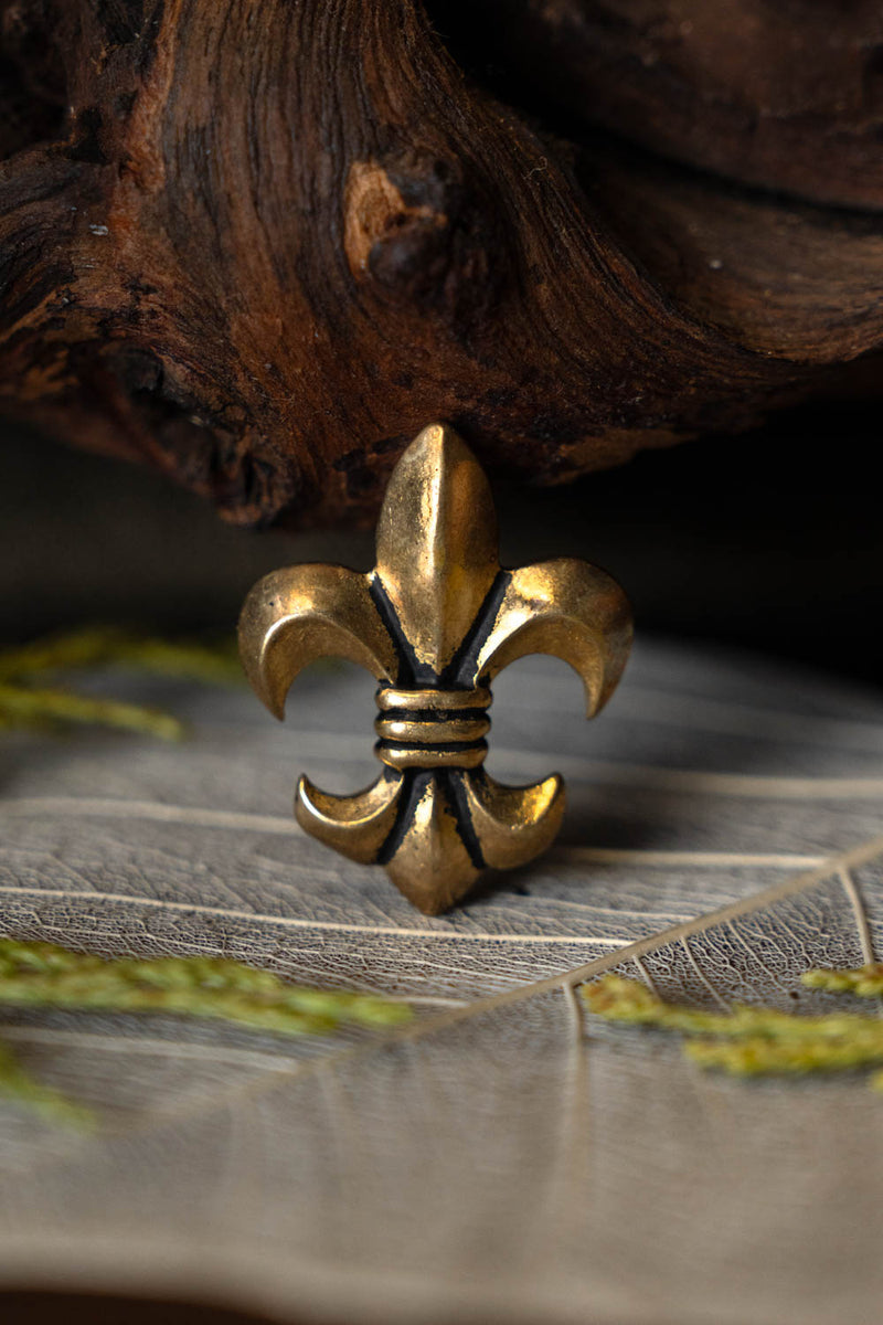 Fleur-de-lys garniture de ceinture (ensemble de 5 pièces), bronze 