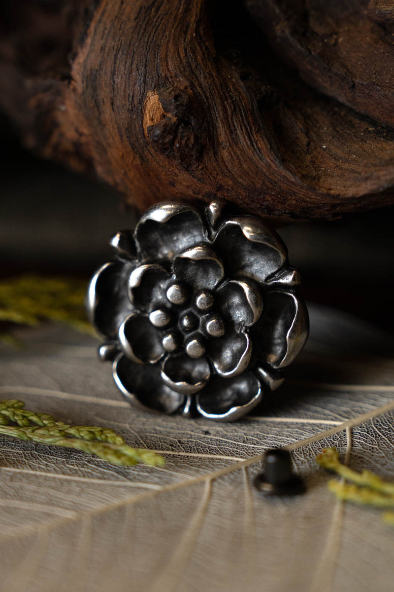 Rosa Tudor accessorio cintura (set di 5 pezzi), bronzo argentato 