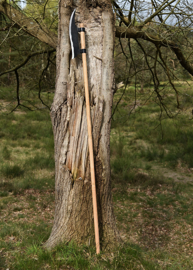 Voulge du 15e siècle, semi-tranchante 