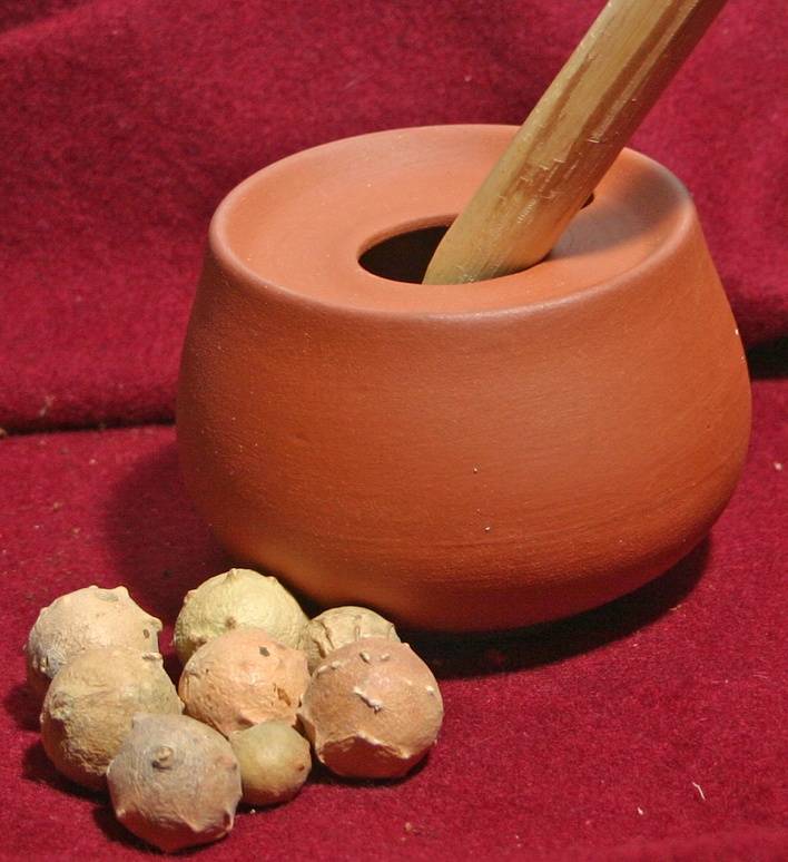 Galappels voor inkt (80 gram)