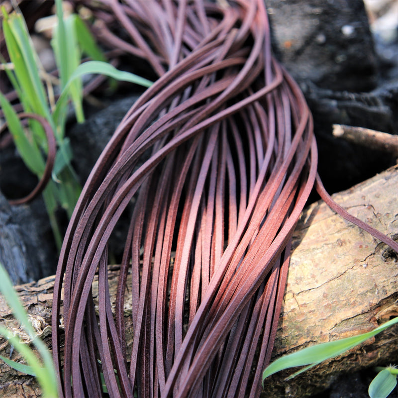 Cordón de cuero, set de 50, negro 