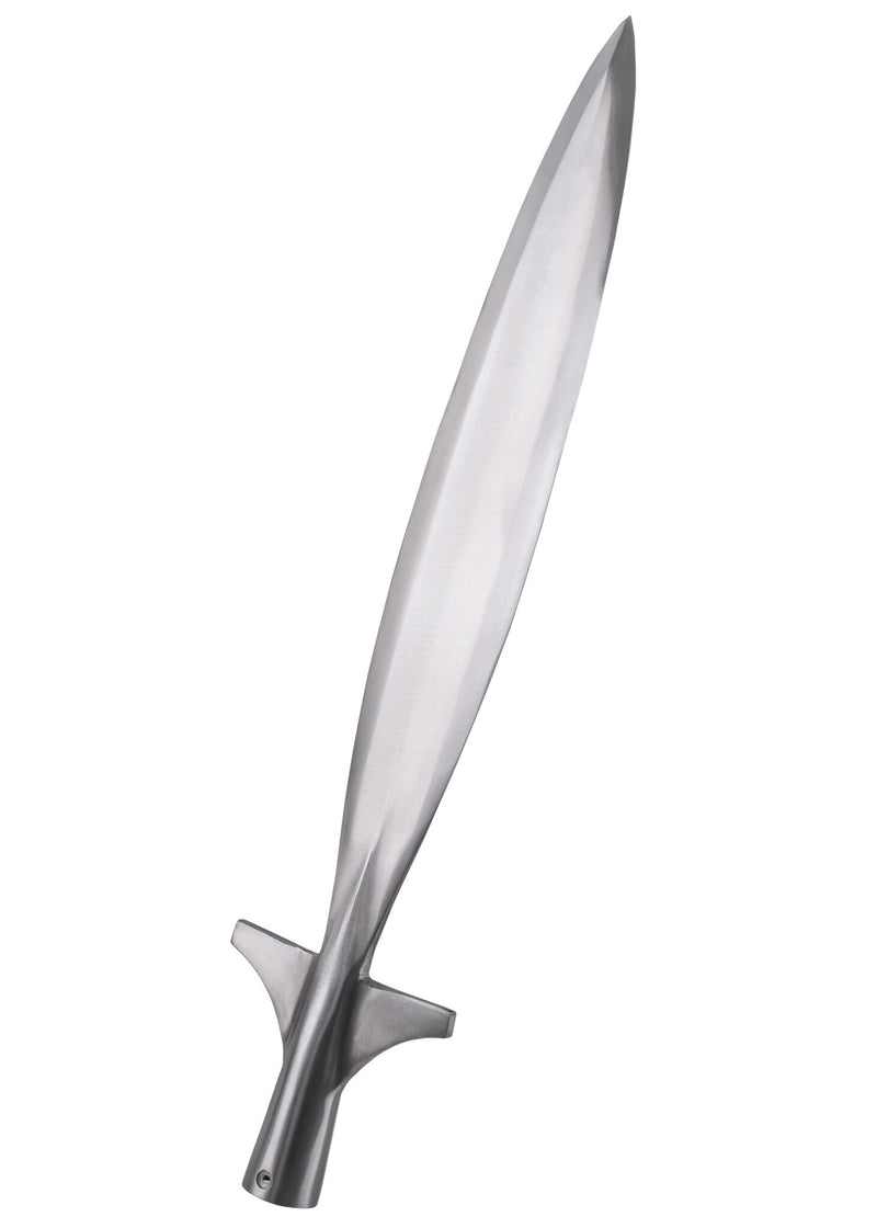 Vildsvin Spjutspets, ca. 50 cm, halvvass 