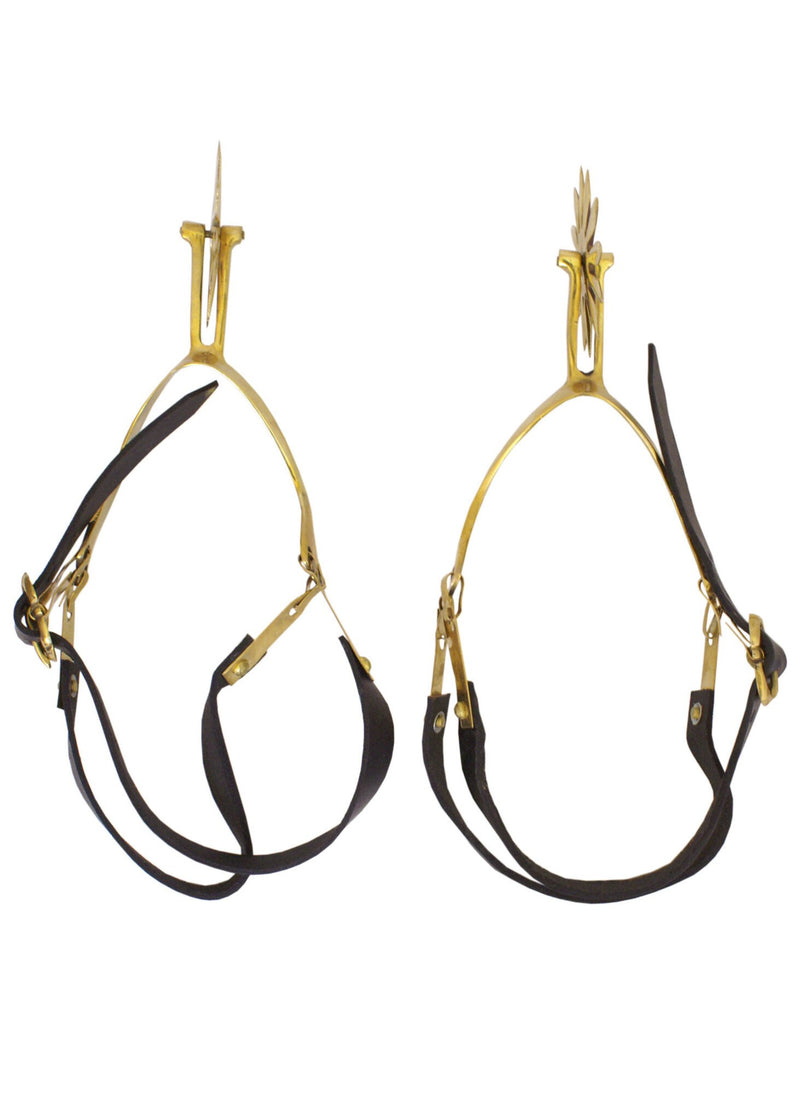 Éperons de Churburg 