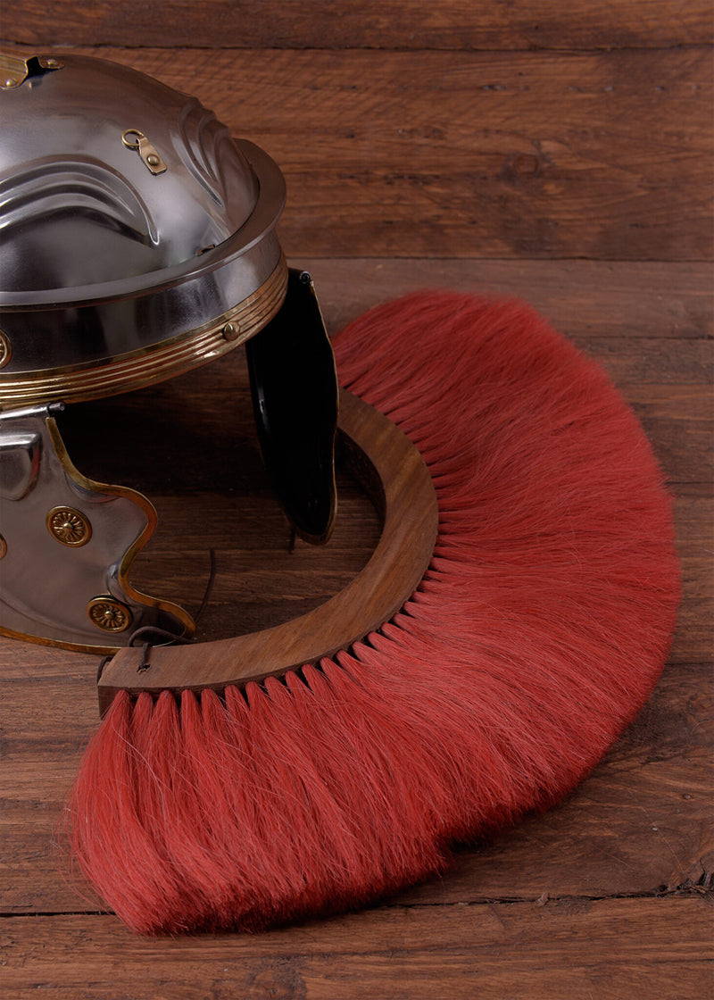 Romeinse helmkam, rood