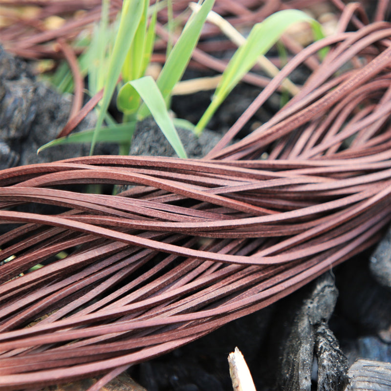 Leren veter, set van 10 zwart