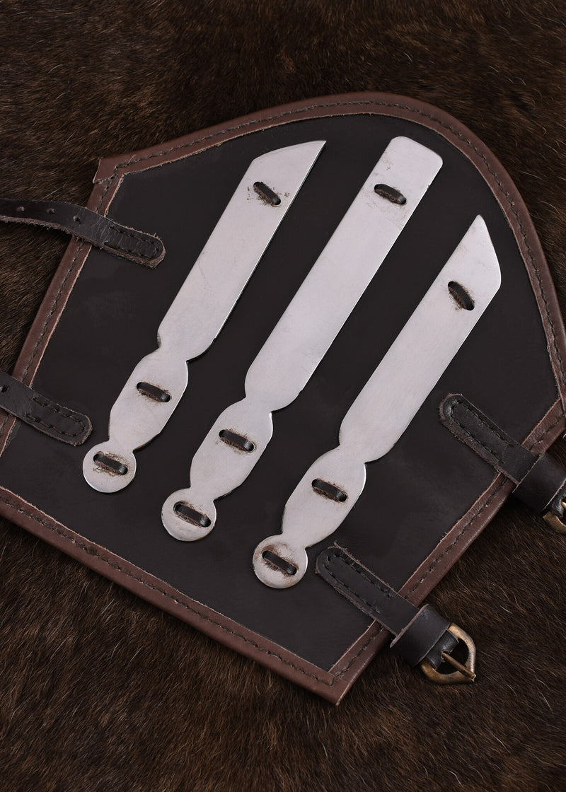 Aerdwulf leren bracers, onderarmbeschermers, met metalen strips