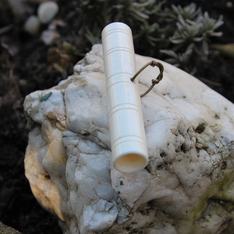 Viking benen naaldenkoker