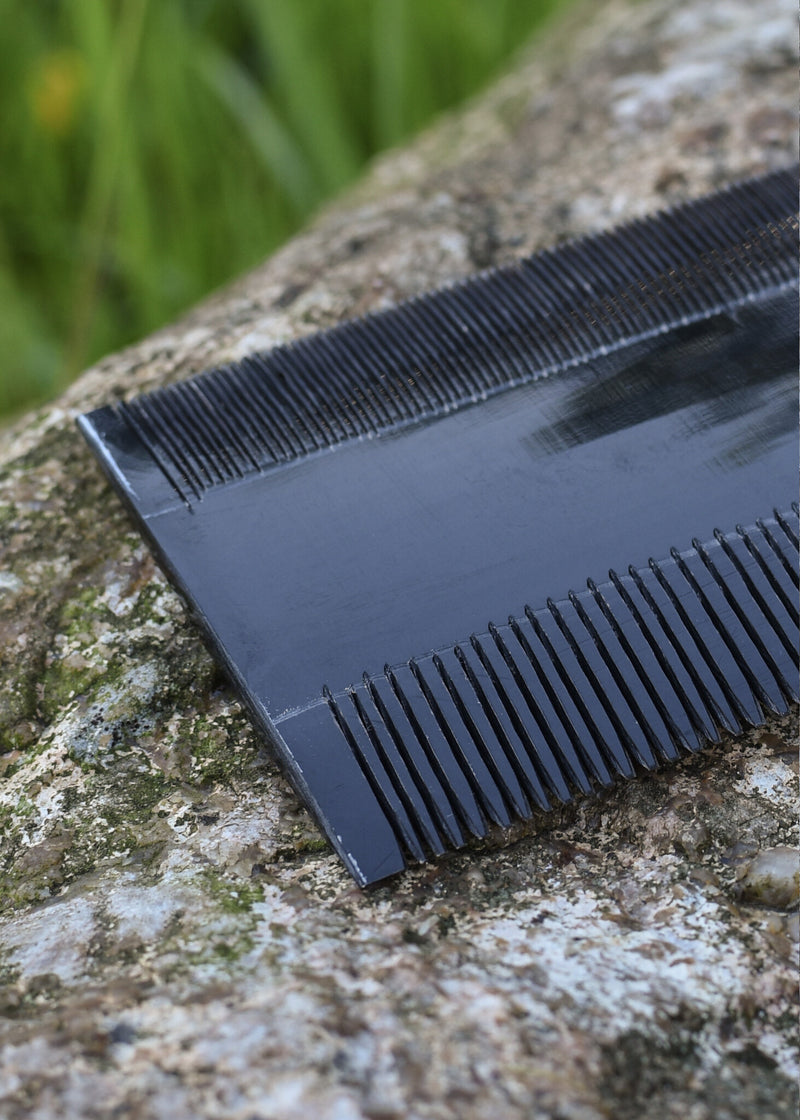 Doppelkammschicht, Horn 