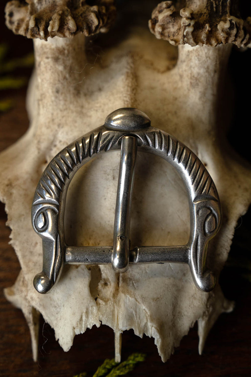 Vikinggesp langgesnavelde vogels