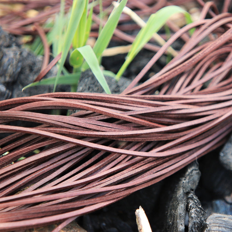 Laccio in pelle, set di 50, marrone 