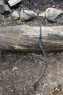 Recurveboog zwart, 118 cm, 24-26 lbs