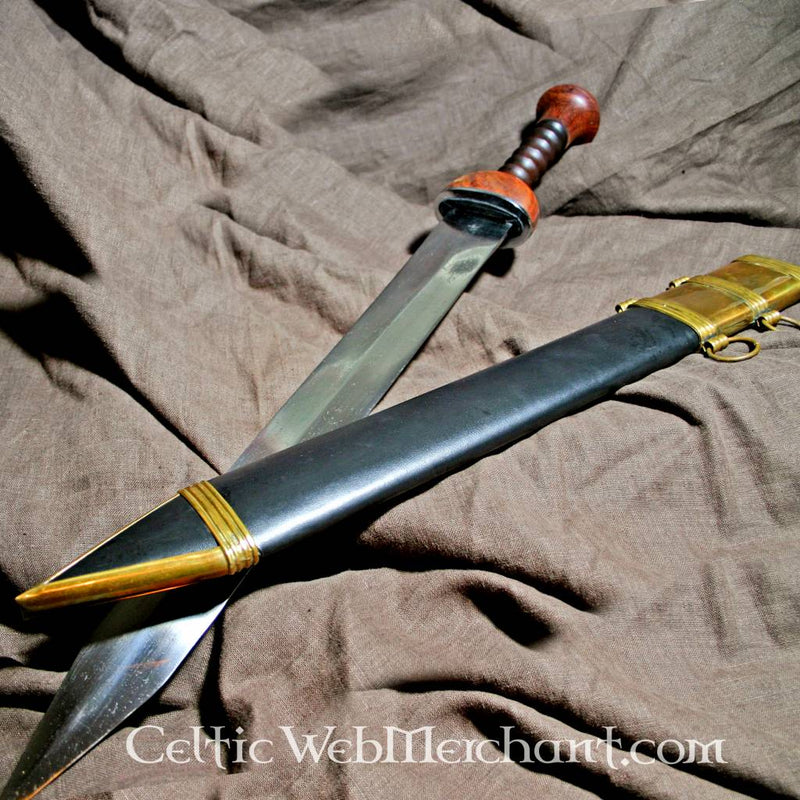 Gladius Ovidius, Pompeii, semi-scherp