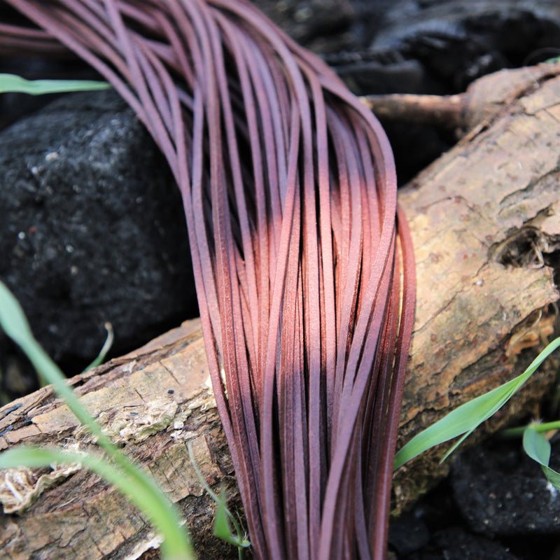 Leren veter, set van 10 zwart