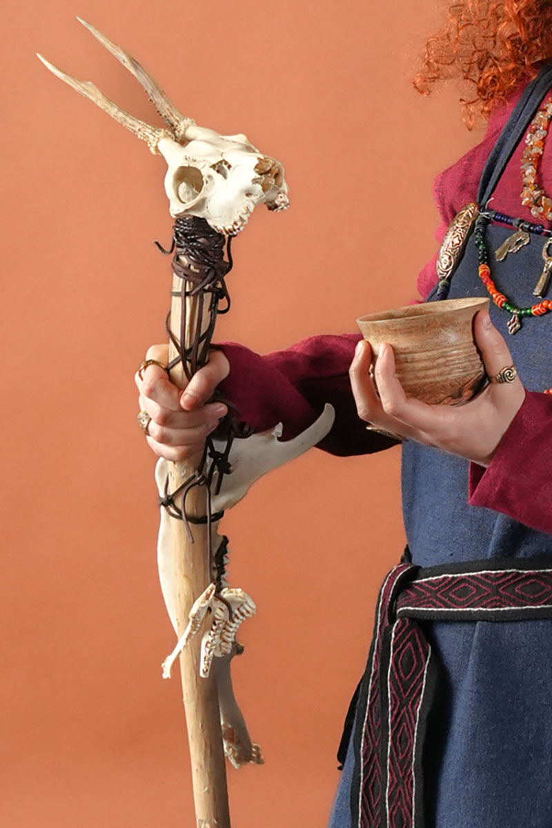 Onderkaak ree, 1 helft