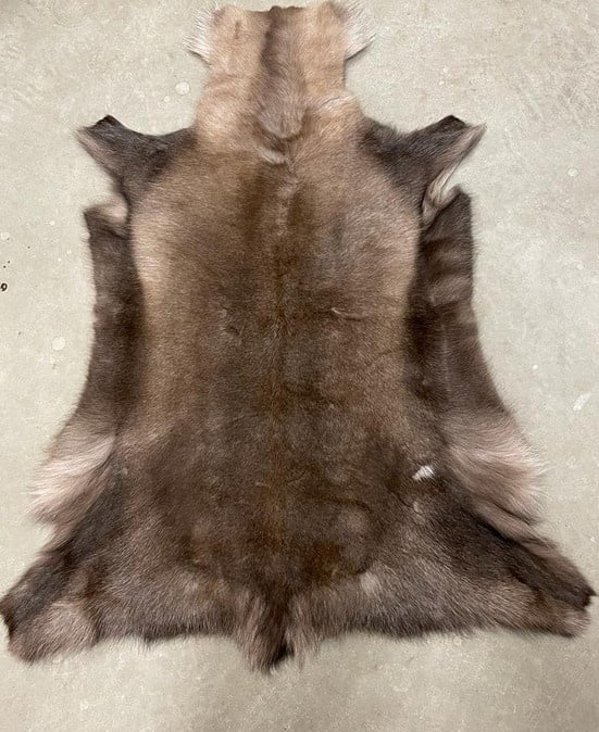 Rendierhuid, donker, 130-140 cm