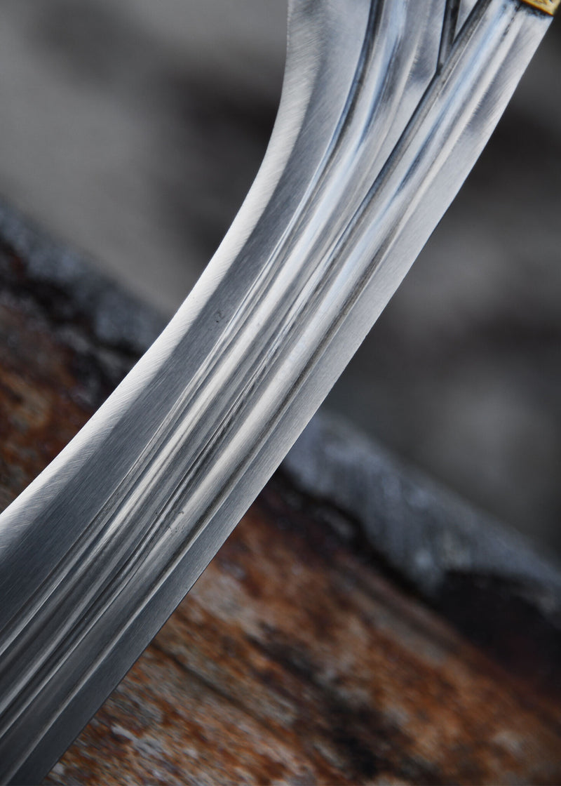 Falcata 4e-3e eeuw v.C., semi-scherp