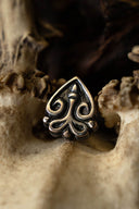 Viking riembeslag Chernikvov, zamak