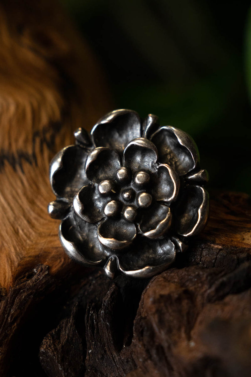 Tudor rosa adorno del cinturón (juego de 5 piezas), bronce 