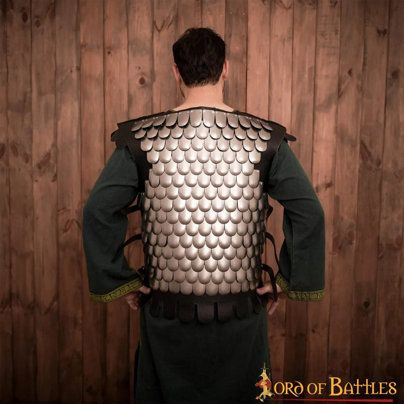 Schaalpantser, lorica squamata, staal