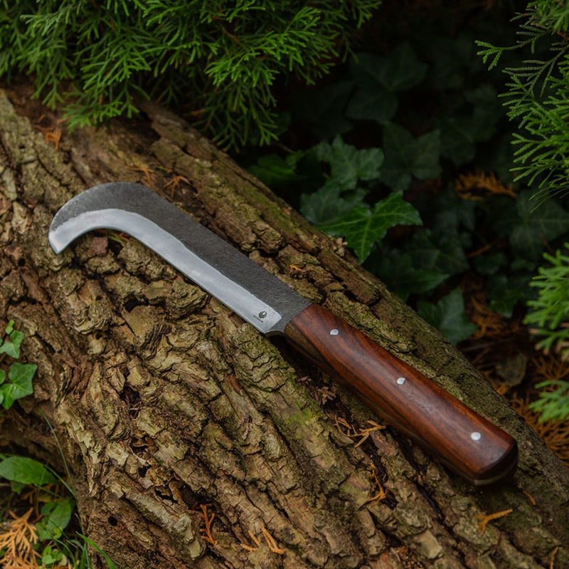 Stridshacka Elaina, halvvass 