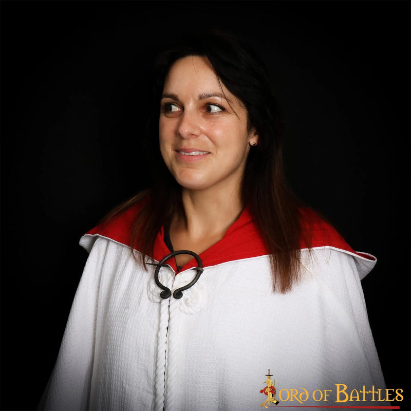 Hoefijzerfibula met spiralen, ijzer