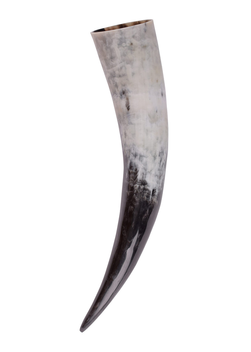 Drinking horn, several sizes