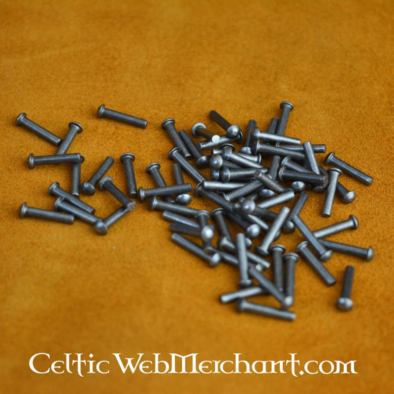 100 stalen klinknagels 10 mm