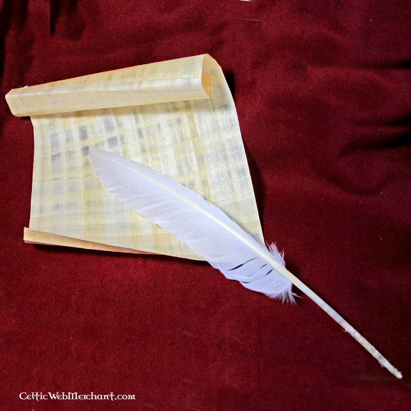 Gåsfjäderset med 10 