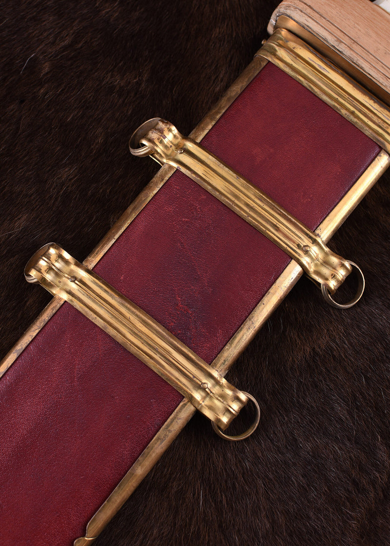 Gladius Mainz met palmet, semi-scherp